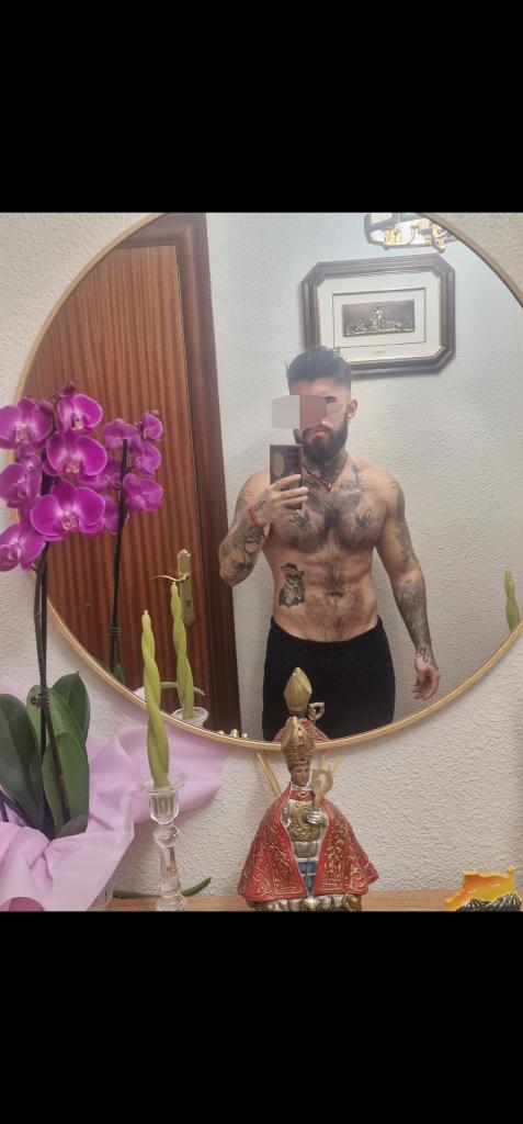 Chico busca chica en Navarra: 