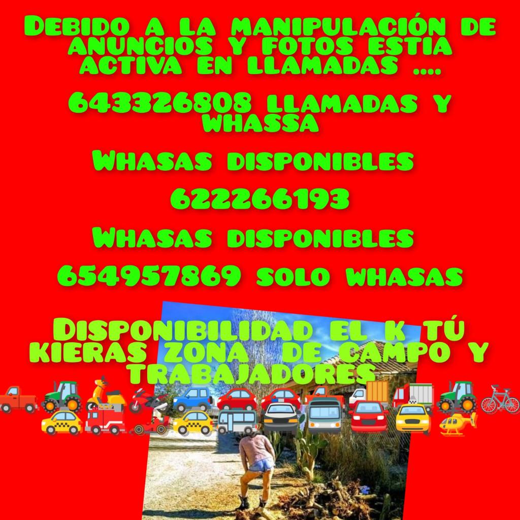 Chica busca chico en Almería: 