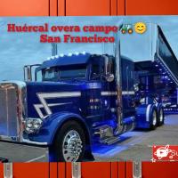 654957869: Chica busca chico en Almería