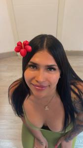 Chica busca chico en Alicante: 