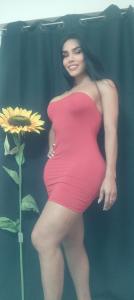 Transexual en Granada: 