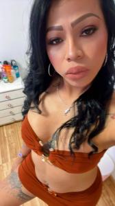 Transexual en Alicante: 