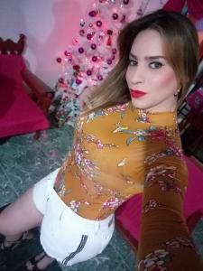 Transexual en Alicante: 