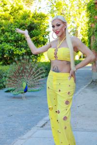 617911341: Travesti en Ibiza