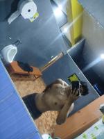 647129512: Chico busca chica en Madrid