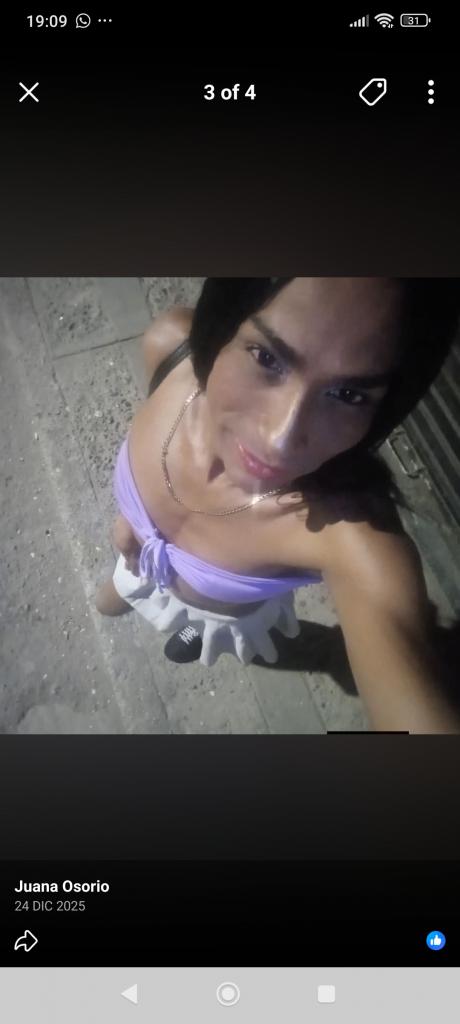 Travesti en Navarra: 