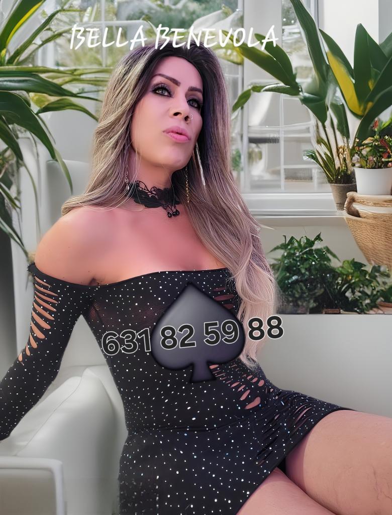 Travesti en Valencia: 
