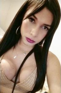 Transexual en Alicante: 