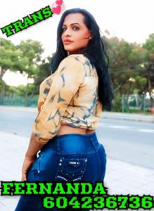 604236736: Travesti en Castellón