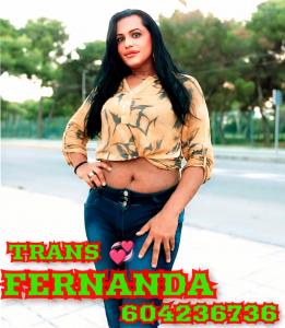 604236736: Travesti en Castellón