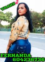 604236736: Travesti en Castellón