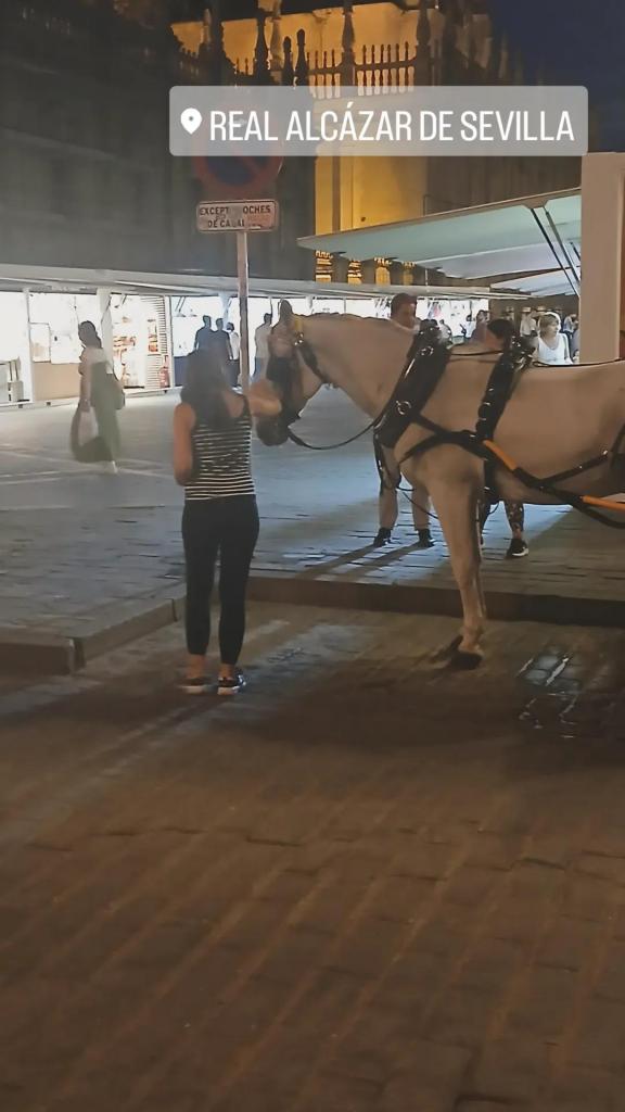 600907135: Chica busca chico en Valencia