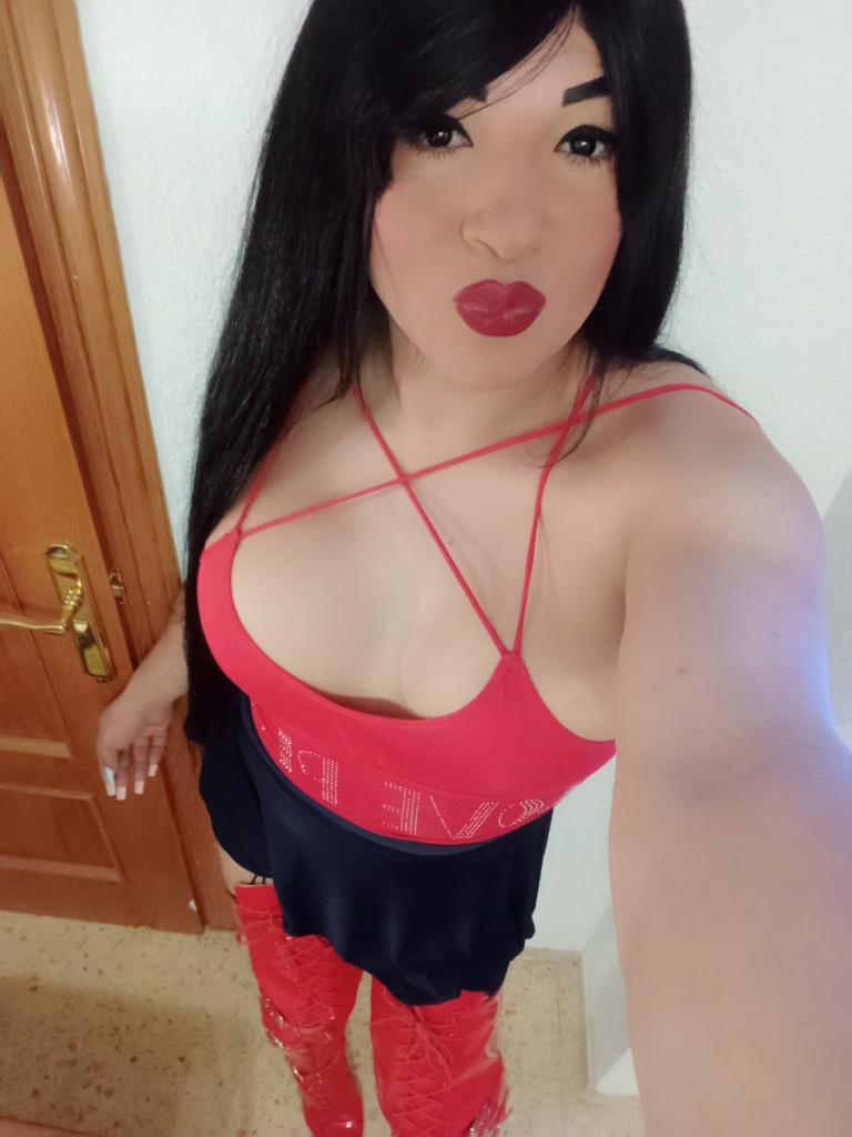 Travesti en Castellón: 