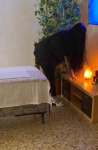 Virtual en Zaragoza: 