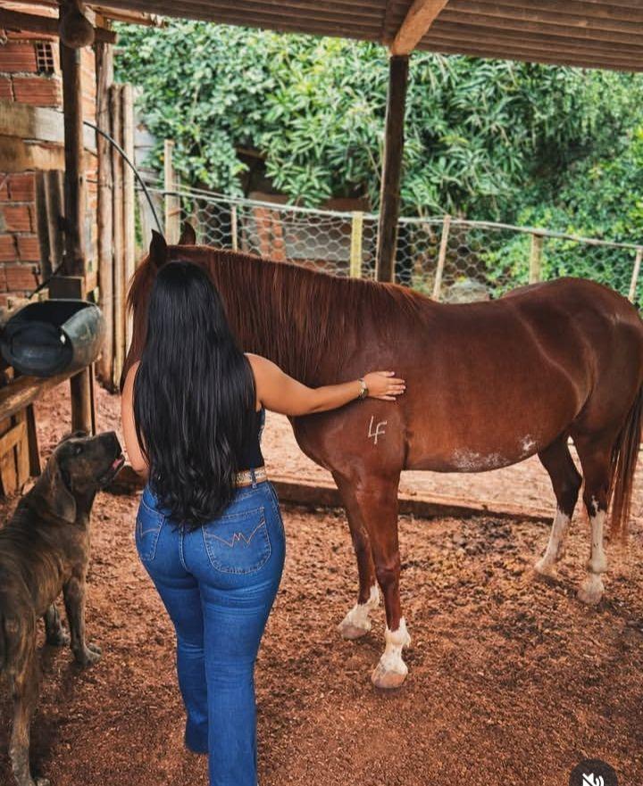 Chica busca chico en Burgos: 