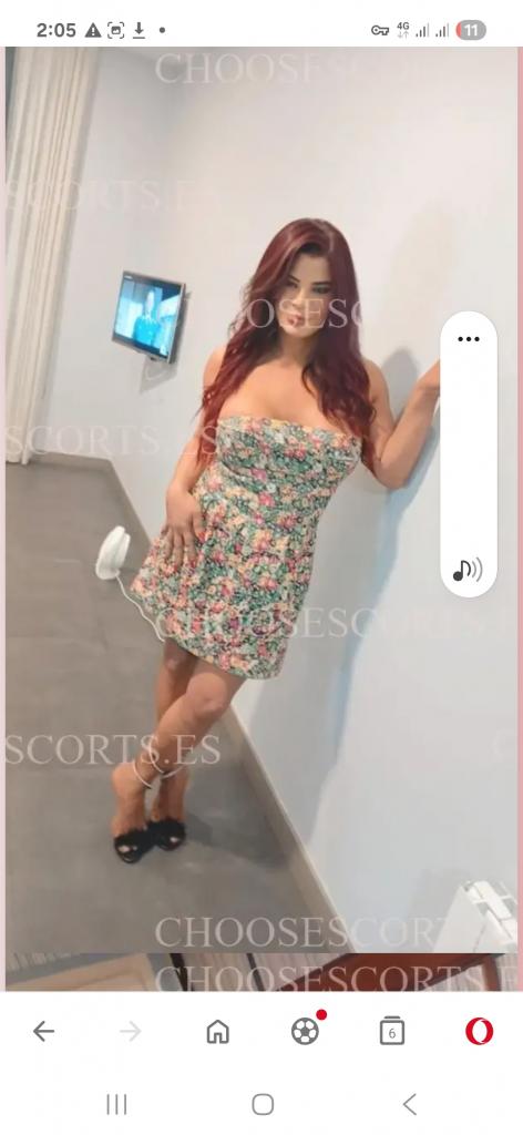 Travesti en Castellón: 