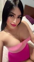 635424327: Travesti en Alicante