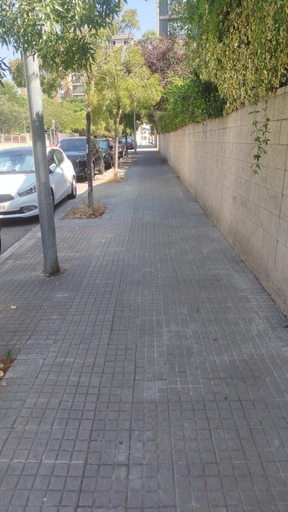 Chica busca chico en Barcelona: 