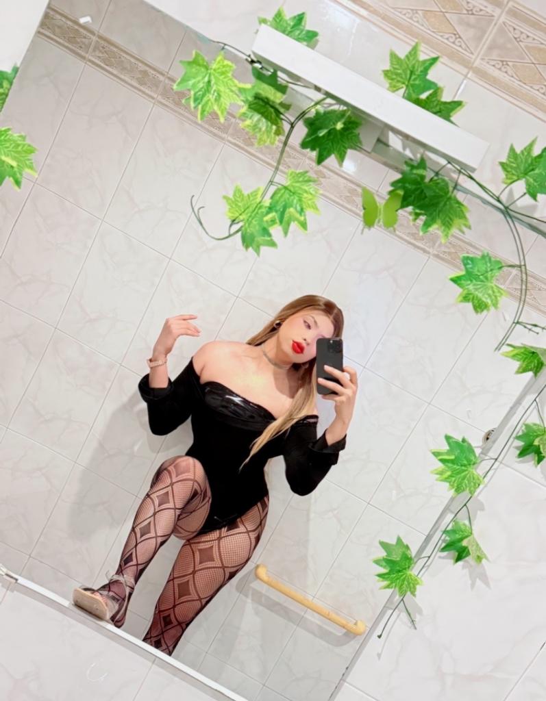 Travesti en Álava: Transexuales y Travestis