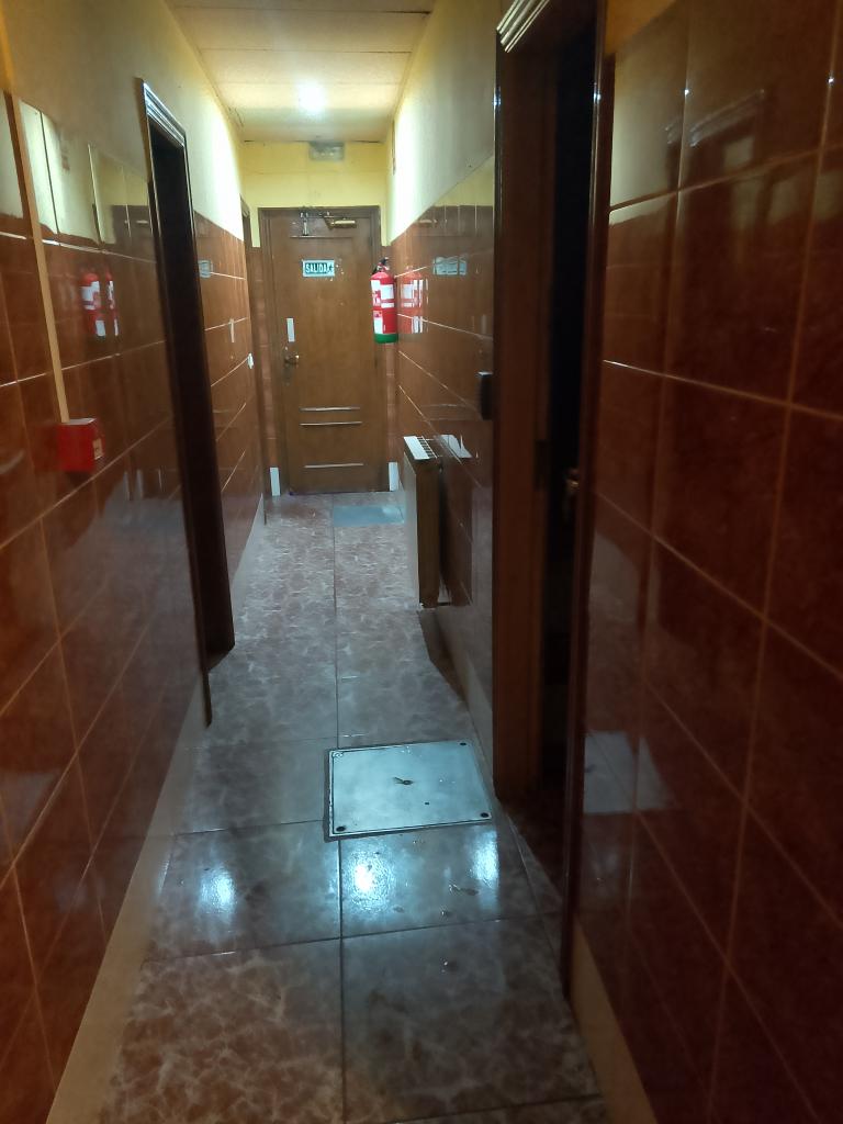 Chica busca chico en Navarra: 