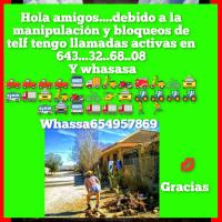 654957869: Chica busca chico en Almería