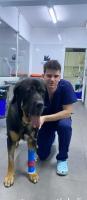 610673505: Chico busca chica en Valencia