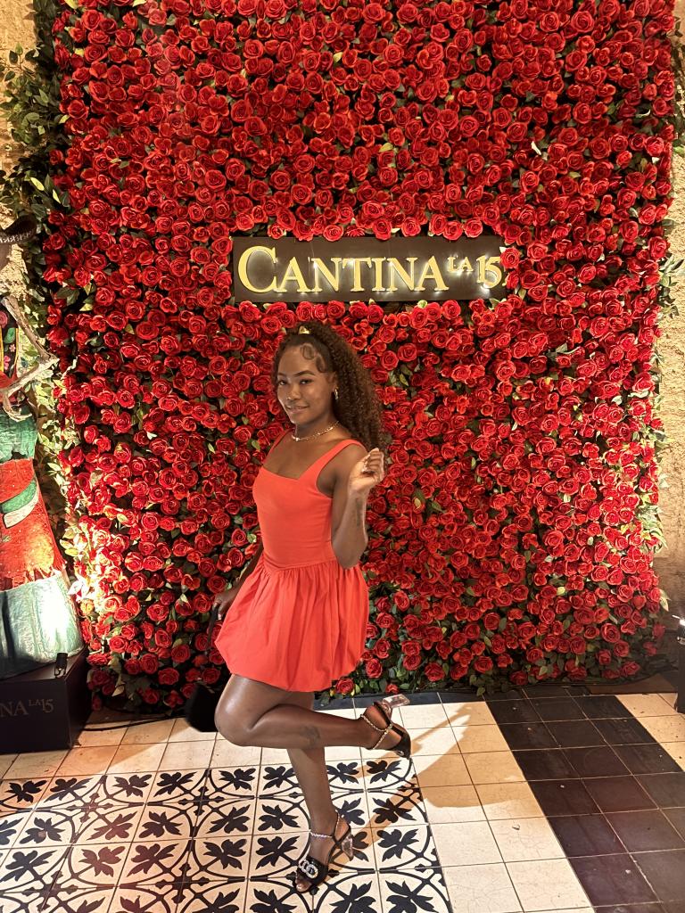 664324627: Chica busca chico en Alicante