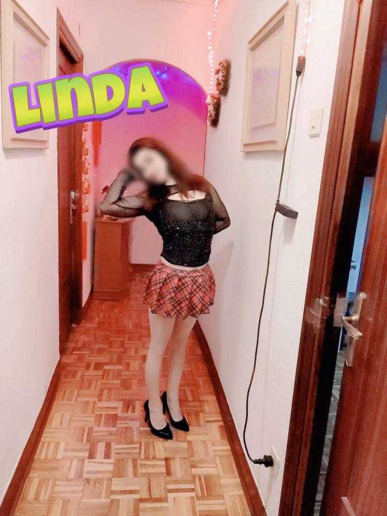 Chica busca chico en Guipúzcoa: 