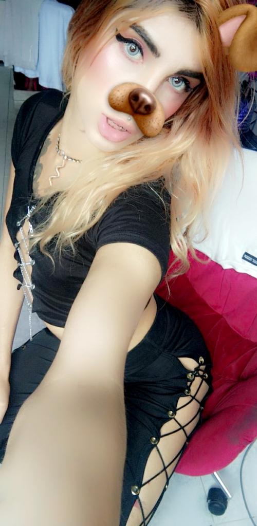 661070343: Travesti en Navarra