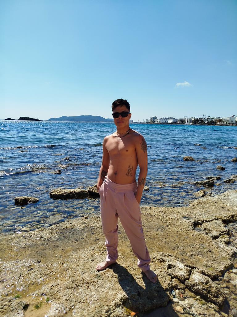 Chico busca chica en Ibiza: 