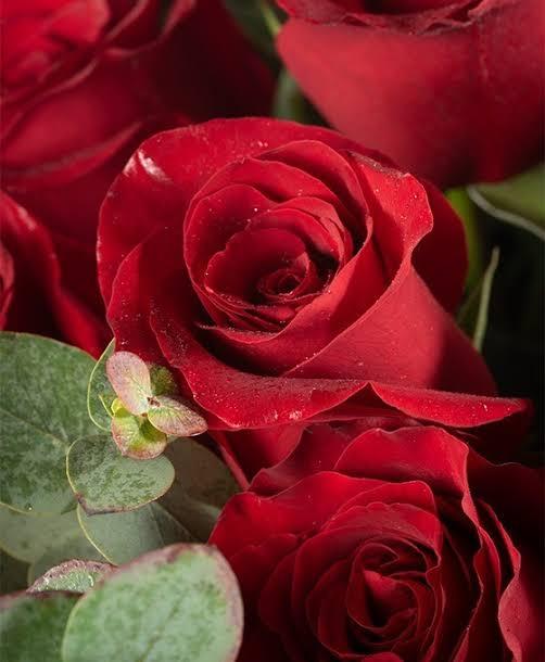 Chica busca chico en Toledo: 