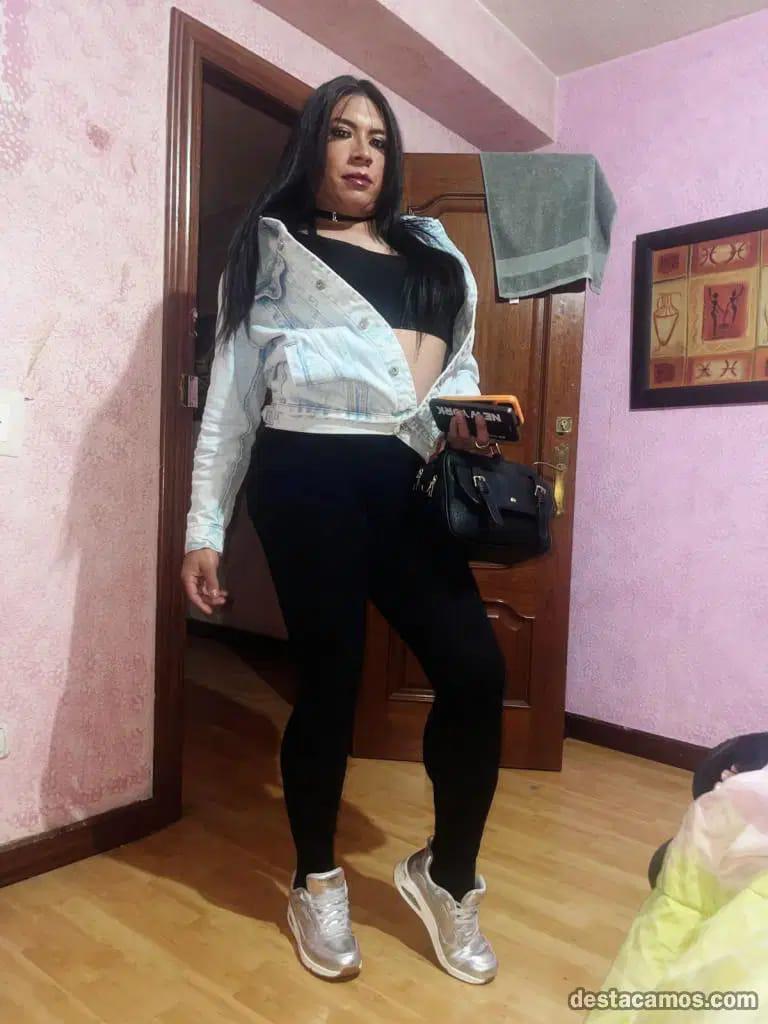 Travesti en Tenerife: 