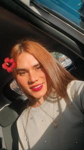 631923730: Travesti en Mallorca