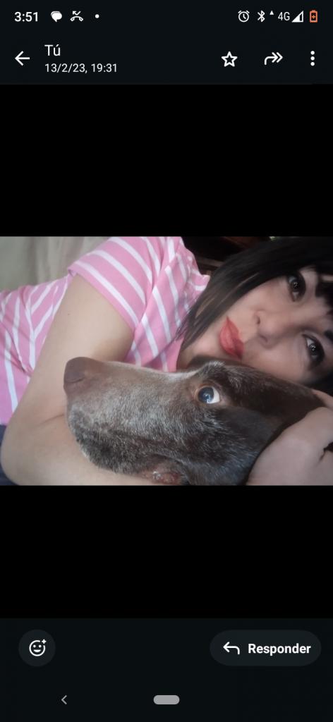 Virtual en Valencia: 