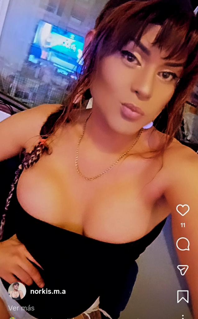 Travesti en Alicante: 