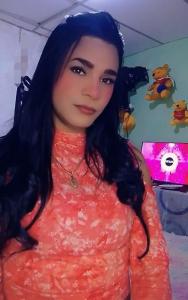 658596027: Travesti en León