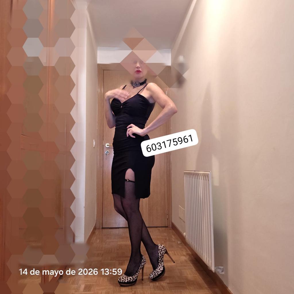 Chica busca chico en Navarra: 