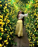 631218349: Chica busca chico en Álava