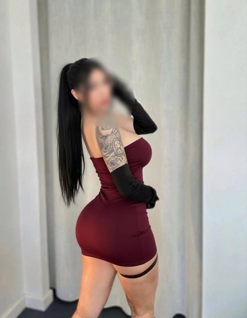 Chica busca chico en Alicante: 