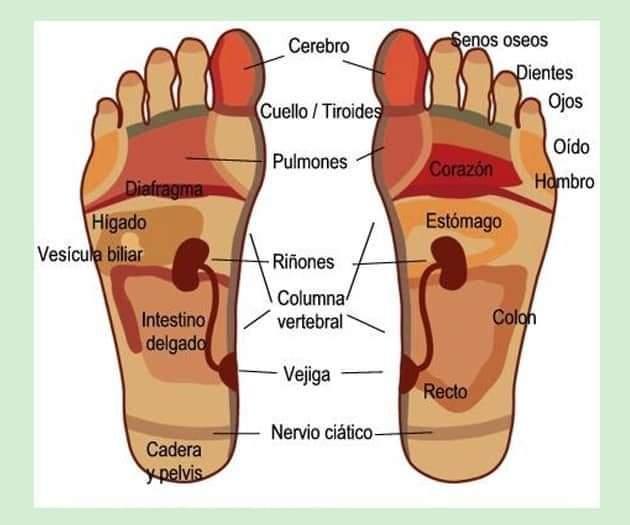 Chica busca chico en Asturias: 