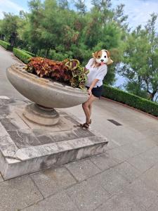 631206563: Chica busca chico en Cantabria