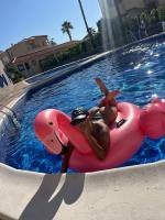 643125580: Chica busca chico en Tenerife