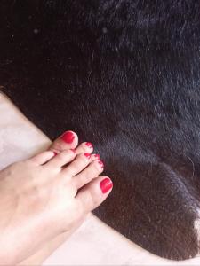 603229166: Travesti en Las Palmas