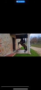 646864198: Virtual en Segovia