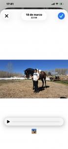 646864198: Virtual en Segovia