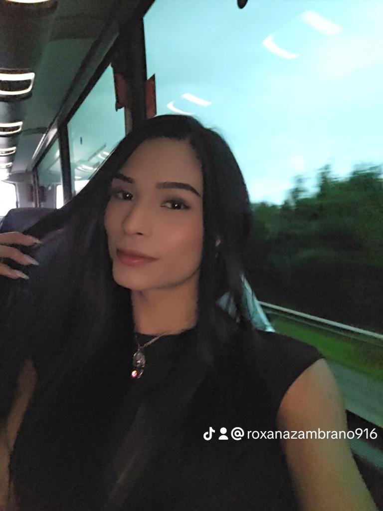 Travesti en Cantabria: 