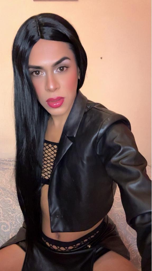 Transexual en Palencia: 