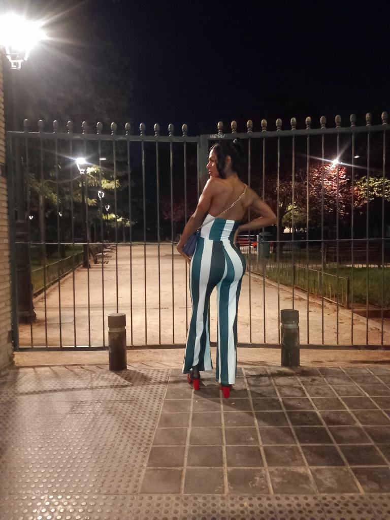 Travesti en Alicante: 