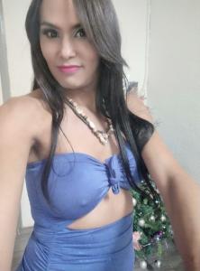 Travesti en Alicante: 