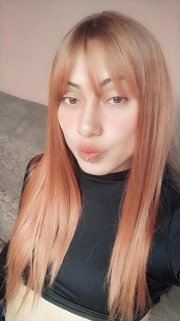 Travesti en Navarra: 